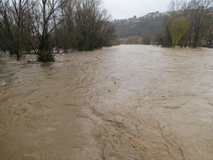 La crescuda del Ter el dijous 23 de gener 2020 a conseqüència del temporal Gloria
