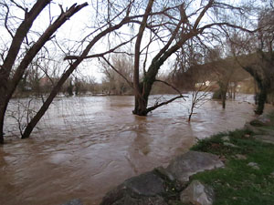La crescuda del Ter el dijous 23 de gener 2020 a conseqüència del temporal Gloria