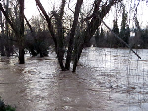 La crescuda del Ter el dijous 23 de gener 2020 a conseqüència del temporal Gloria