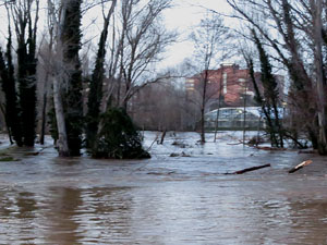 La crescuda del Ter el dijous 23 de gener 2020 a conseqüència del temporal Gloria