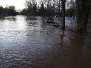 La crescuda del Ter el dijous 23 de gener 2020 a conseqüència del temporal Gloria