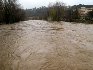 La crescuda del Ter el dijous 23 de gener 2020 a conseqüència del temporal Gloria