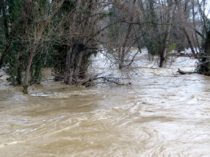 La crescuda del Ter el dijous 23 de gener 2020 a conseqüència del temporal Gloria
