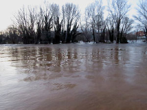 La crescuda del Ter el dijous 23 de gener 2020 a conseqüència del temporal Gloria