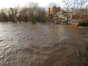 La crescuda del Ter el dijous 23 de gener 2020 a conseqüència del temporal Gloria