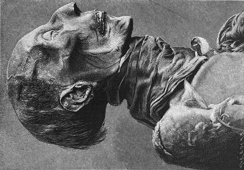 Cap de la m&ograve;mia de Ramesses II, dit el Gran, Ca. 1303-1213 aC. Gravat. 1880