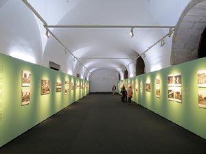 75è aniversari de la mort de Valentí Fargnoli. Exposició 'El paisatge revelat' a la Casa de Cultura