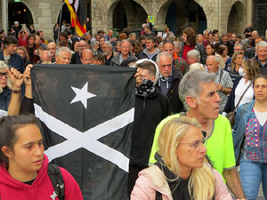 Manifestaci&oacute; 'Fem fora al rei espanyol de Girona'