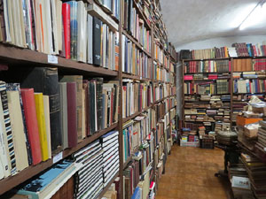 El Portal del Col·leccionista, de Joan Cortés, al carrer de la Força