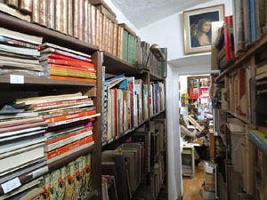 El Portal del Col·leccionista, de Joan Cortés, al carrer de la Força