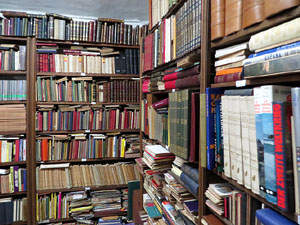 El Portal del Col·leccionista, de Joan Cortés, al carrer de la Força