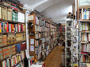 El Portal del Col·leccionista, de Joan Cortés, al carrer de la Força