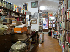 El Portal del Col·leccionista, de Joan Cortés, al carrer de la Força