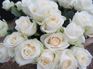 Homenatge en record de les v&iacute;ctimes de la Covid-19 al Parc de les Ribes del Ter