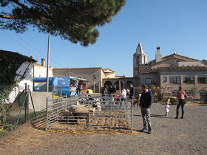 Fira de la Botifarra Dol&ccedil;a 2014 a Salitja