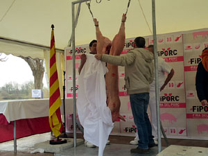 Fira del Porc FIPORC 2015. Demostració de l'especejament d'un porc