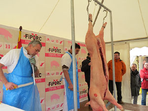 Fira del Porc FIPORC 2015. Demostració de l'especejament d'un porc