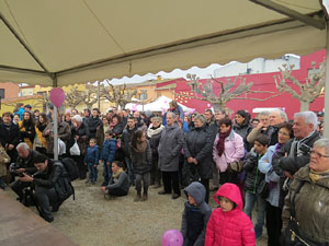 Fira del Porc FIPORC 2015. Demostració de l'especejament d'un porc