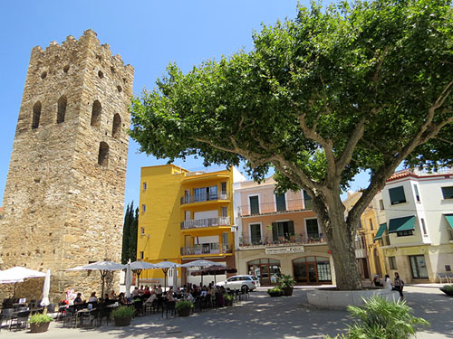 L'Arbre de la Llibertat, o Arbre de la Plaça, plantat el 1870