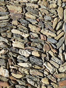 Detall dun dels murs en el qual és visible laparell, en el qual sovinteja lopus spicatum