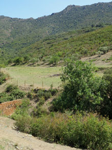 Entorn del monestir de Sant Quirze de Colera