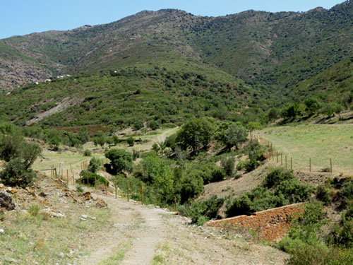 Entorn del conjunt monàstic de Sant Quirze
