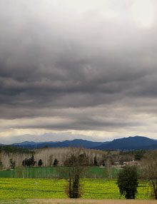 Paisatge de Vallcanera