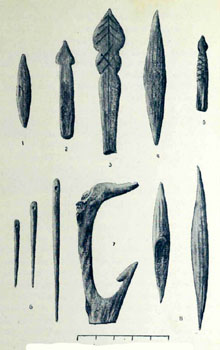 Eines d'os localitzades a les coves de Seriny&agrave;