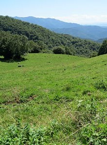 Paisatge del Ripollès des de Sant Martí de Surroca