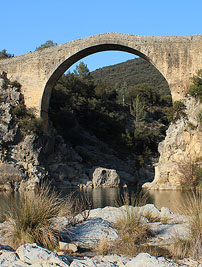 Tortellà. Pont del Llierca