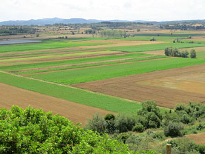 La ciutat ib&egrave;rica d'Ullastret