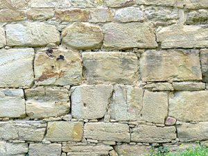 La ciutat ib&egrave;rica d'Ullastret