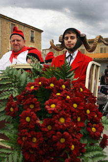 Plantada de l'Arbre de Maig i Ball del Cornut. 2011