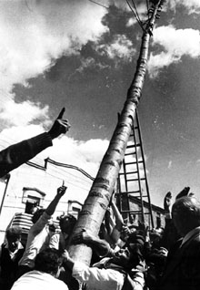 Plantada de l'Arbre de Maig i Ball del Cornut. 1985