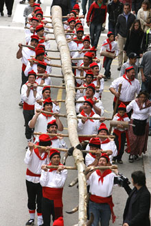 Transport de l'Arbre de Maig. 2012