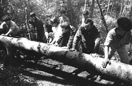 Preparaci&oacute; de l'Arbre de Maig de Cornell&agrave; del Terri. 1992