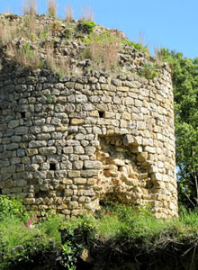 El castell d'Hortal
