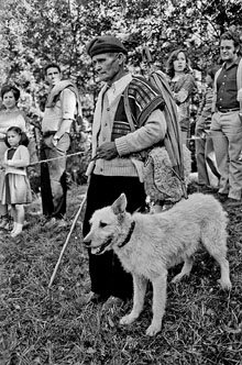 XIV concurs de gossos d'atura de Queralbs. 1976