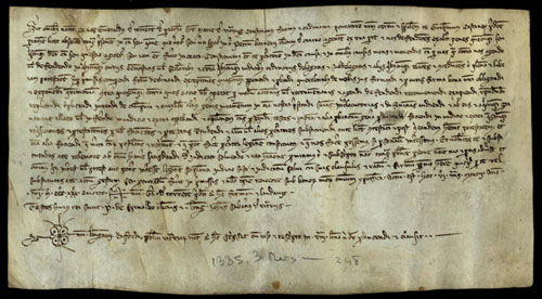Procura atorgada per Guerau de Torrent, de Santa Maria de Vidreres, a favor de Guillem Castany, de la mateixa parròquia, per tal que el representi en la causa moguda en contra seu per Pere Barner, clergue de Cassà. 1335