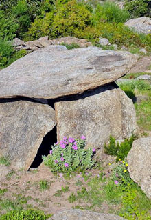 Dolmen de les Ru&iuml;nes